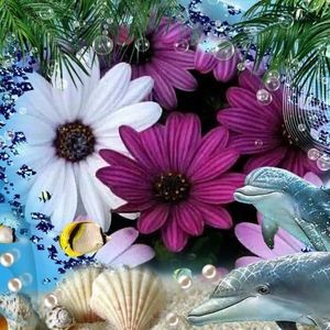 Meet your Posher, Devin